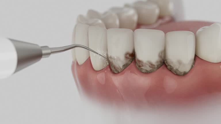Reliable Emergency Dentist contractor in Carroll County County, OH by Dentist Open Now